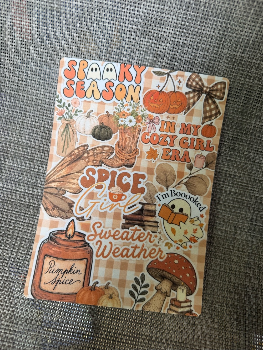 Autumn Kindle Insert (colorsoft kindle) - Pumpkin Spice / Sweater Weather